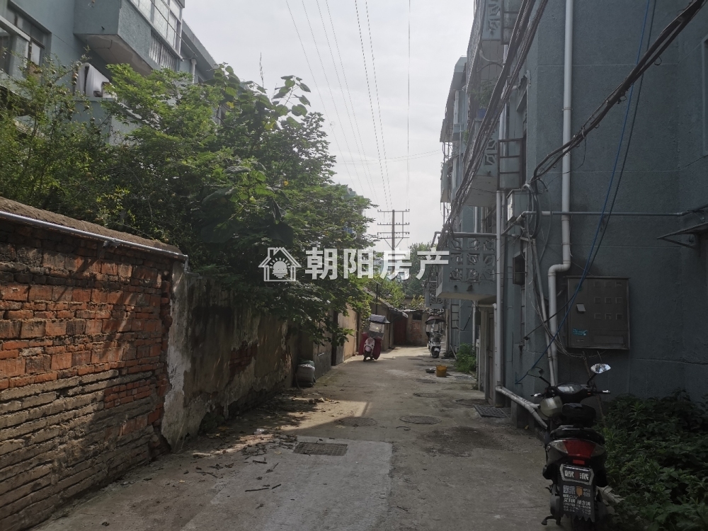 望峰岗铁路新村 63平 南向两居 满两年 交通便利