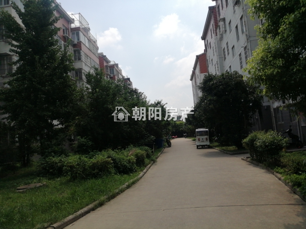 九龙新村 157平 四室朝南毛坯 交通便利配套齐全