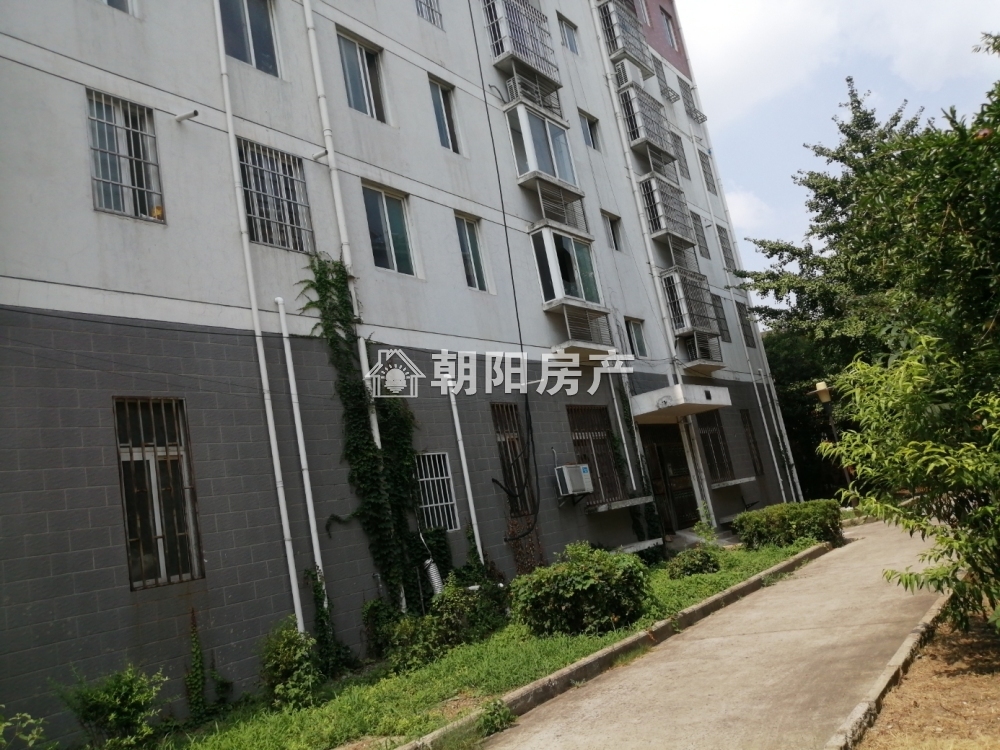九龙新村 157平 四室朝南毛坯 交通便利配套齐全