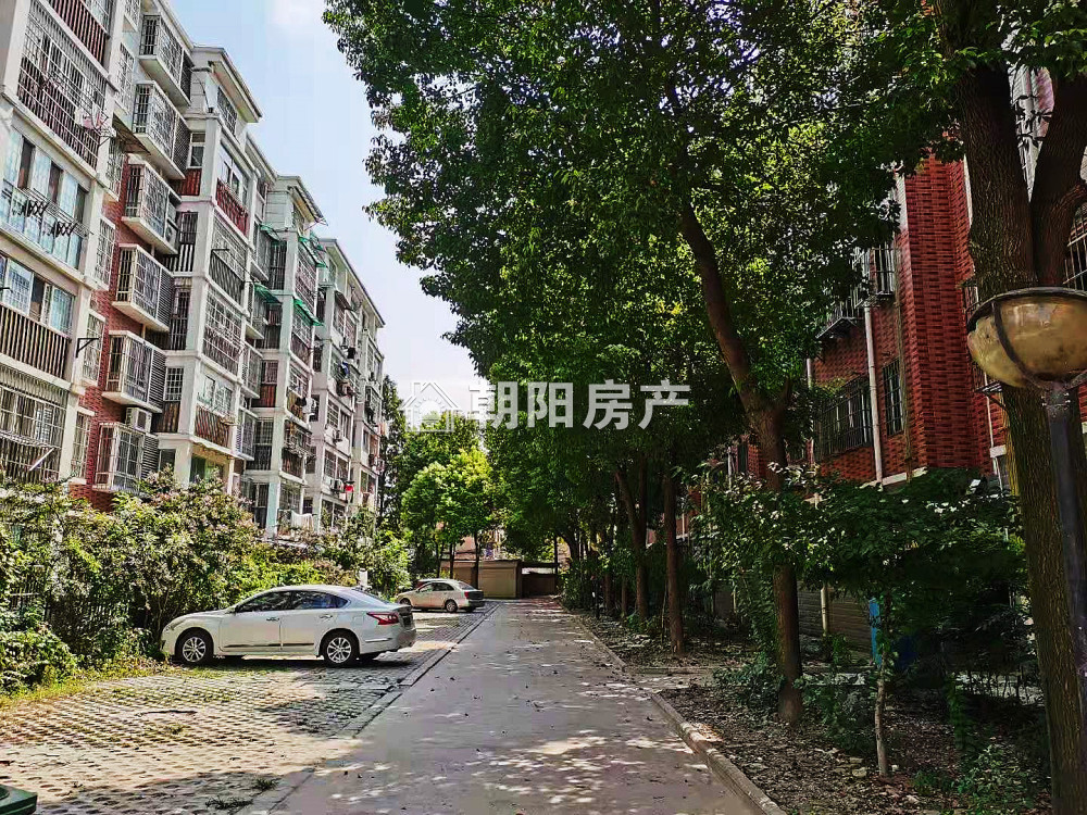 金豪阳光花园 59平 朝南两居 满两年 高楼层采光好