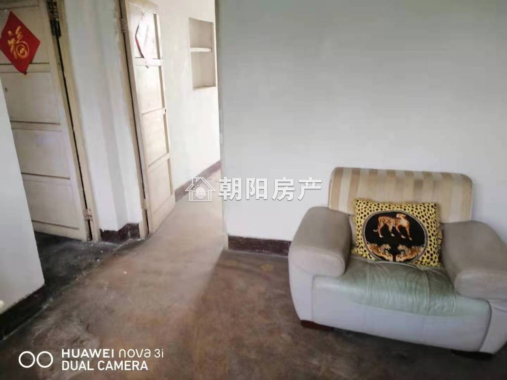 金岭村 45平 南向一室一厅 高楼层采光好 稀缺出租