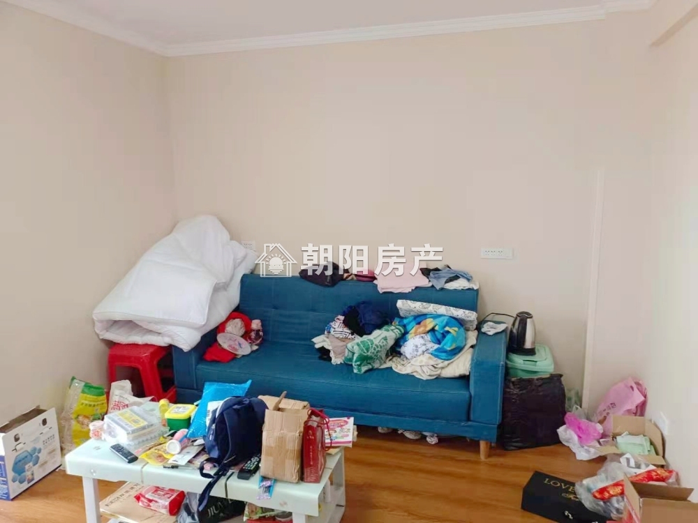 D壹街区 40平 精装两室 免税 配套齐全