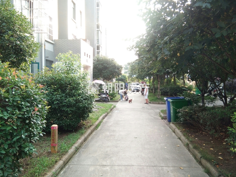 放响村 101平 南向三室毛坯 990元/平 交通便利学区房
