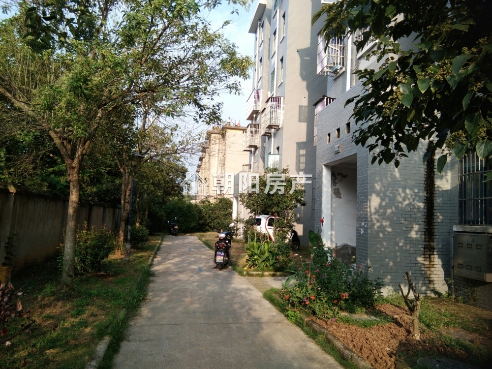 放响村 95平 南向三室毛坯 采光好 环境佳 随时看房