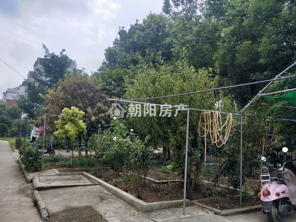 桂园小区 97平 朝南三室 满两年 1505元/平 交通便利