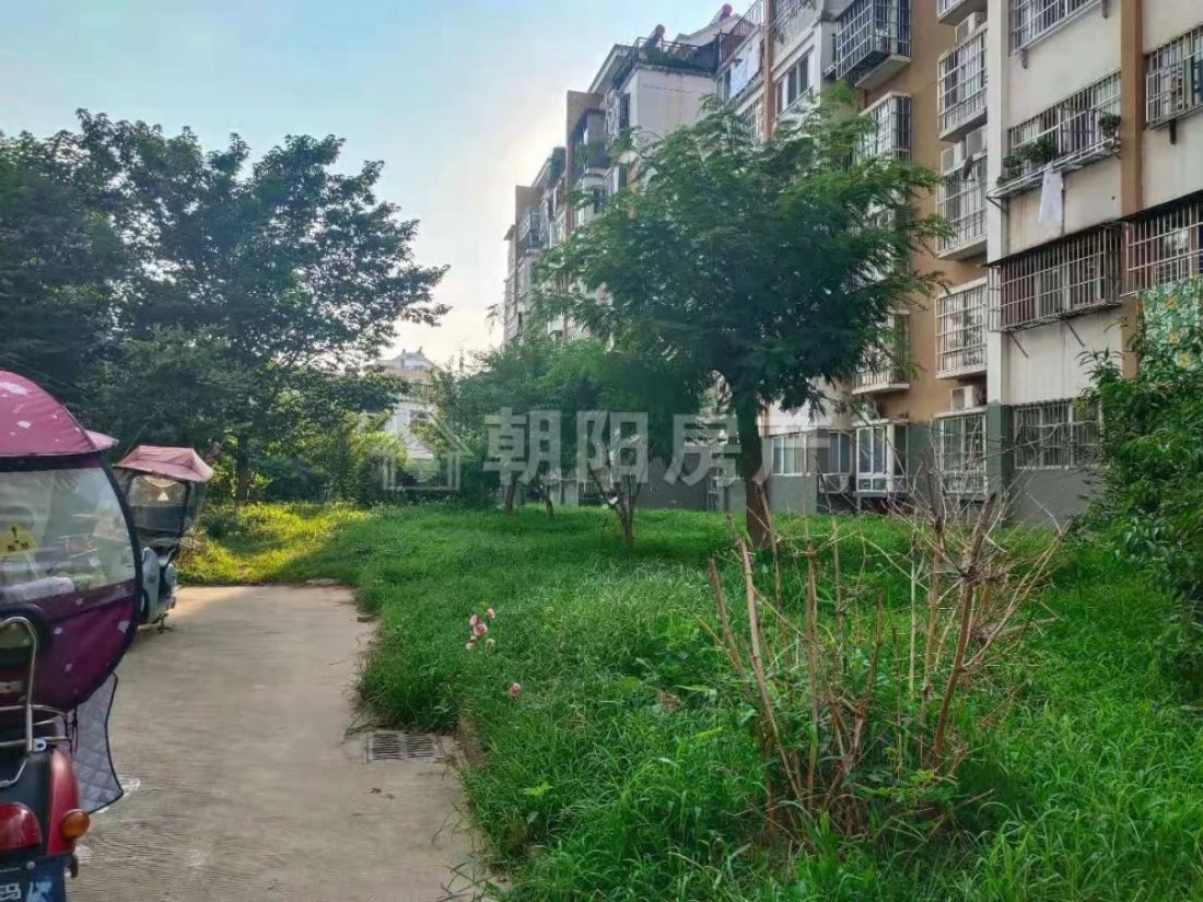 新社三村 120平 南向大三居 普装 交通便利