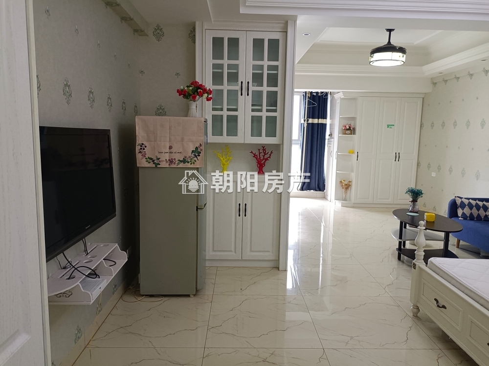 万达广场 60平 精装一室一厅 交通便利 学区房 采光好