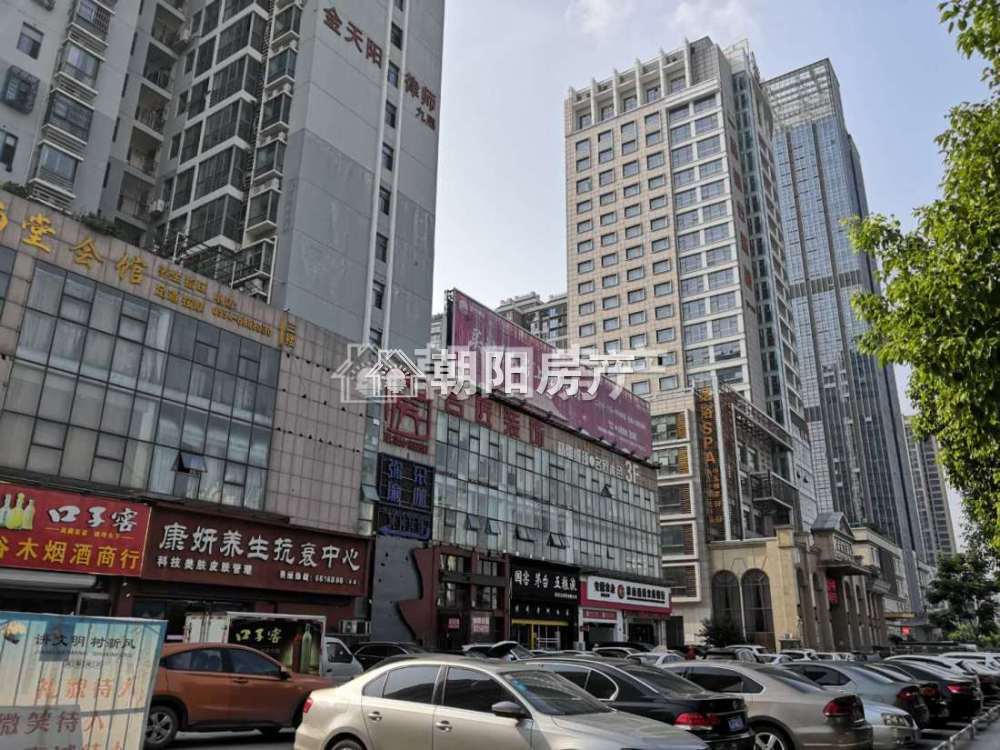颐园豪景 90平 南北通透两室两厅 精装高层 单价4111元/平