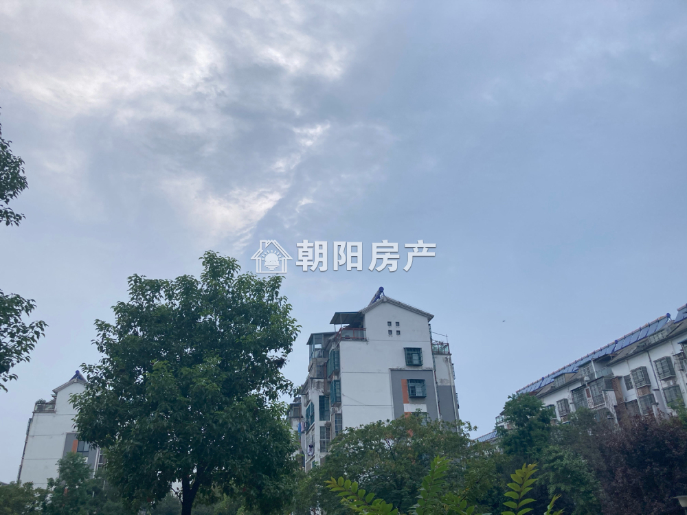九龙岗建设村C区 157平 南向四室两卫 满五唯一 毛坯大户型