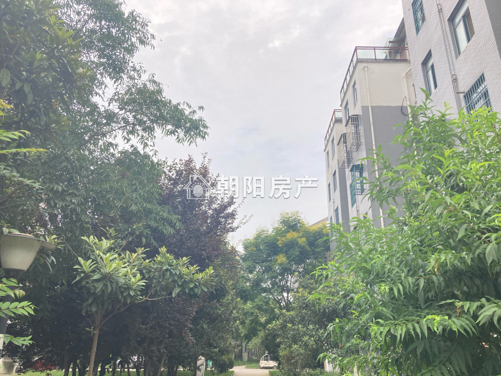 九龙岗建设村C区 157平 南向四室两卫 满五唯一 毛坯大户型