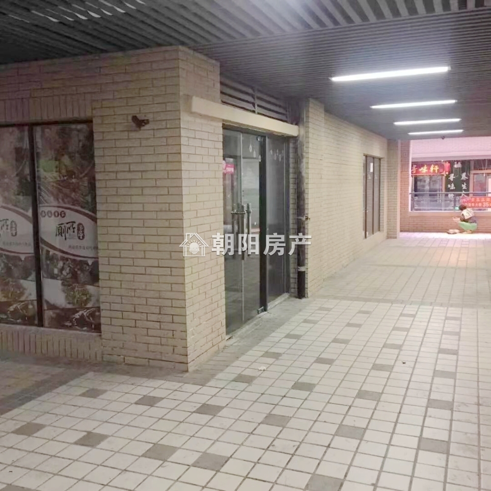 龙湖中心 43平 临街旺铺 优质地段 普装交付