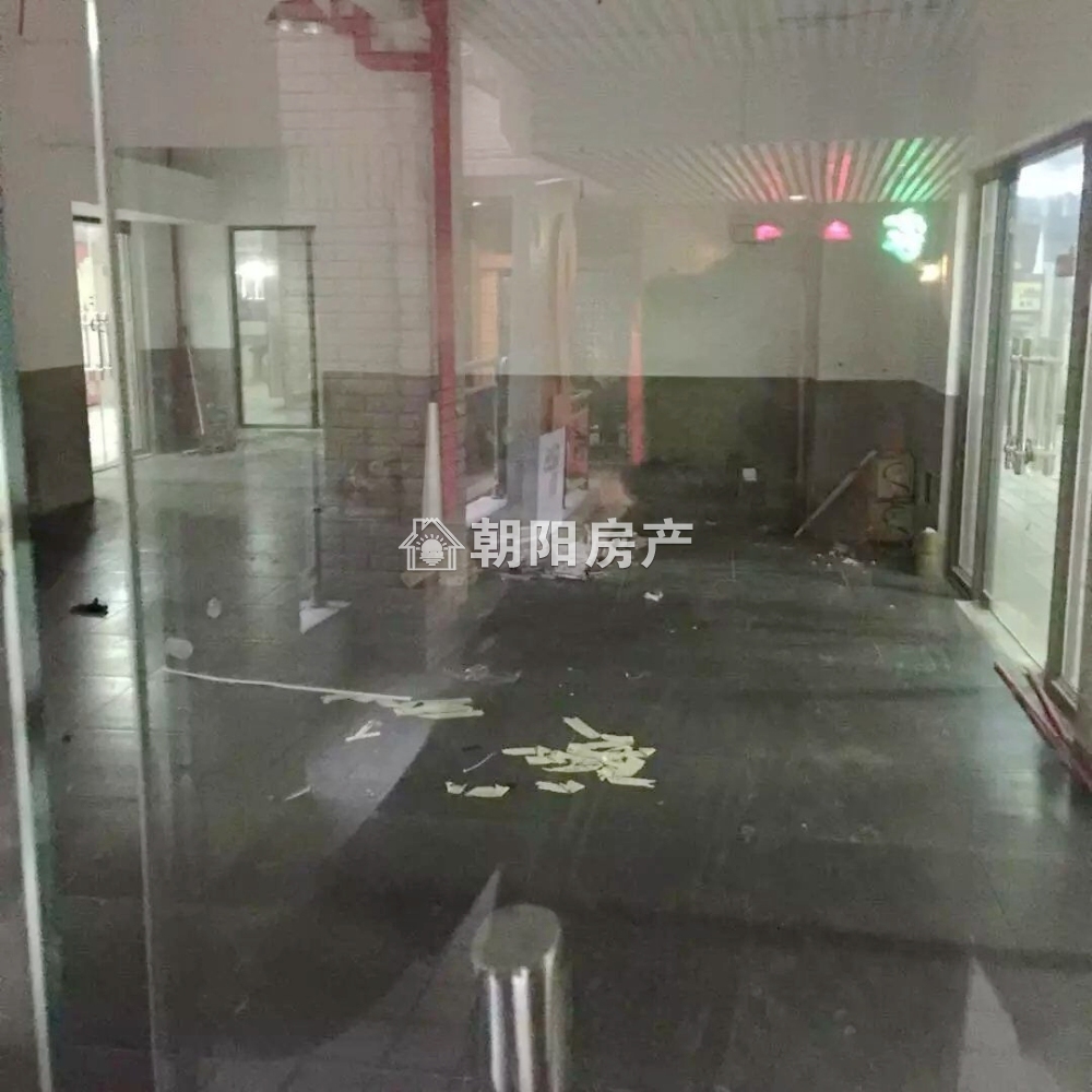 龙湖中心 43平 临街旺铺 优质地段 普装交付