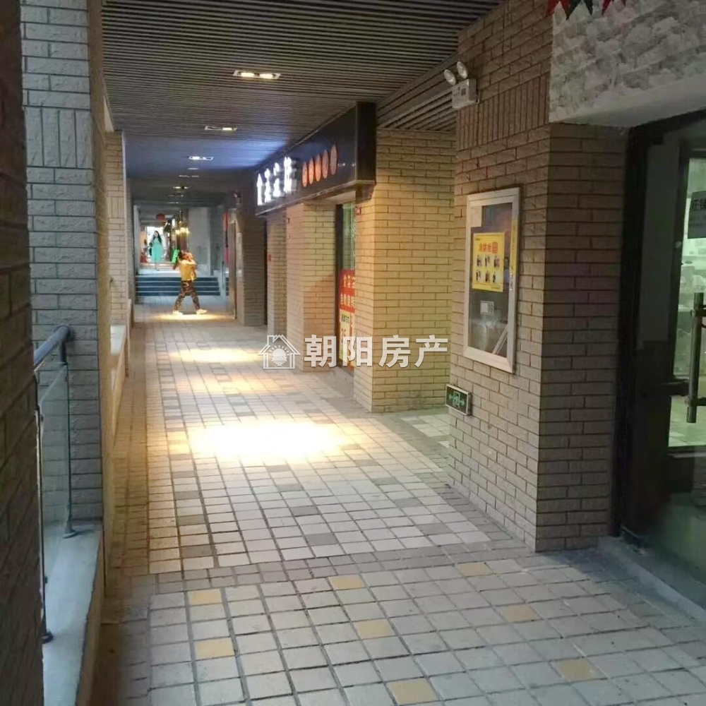 龙湖中心 43平 临街旺铺 优质地段 普装交付