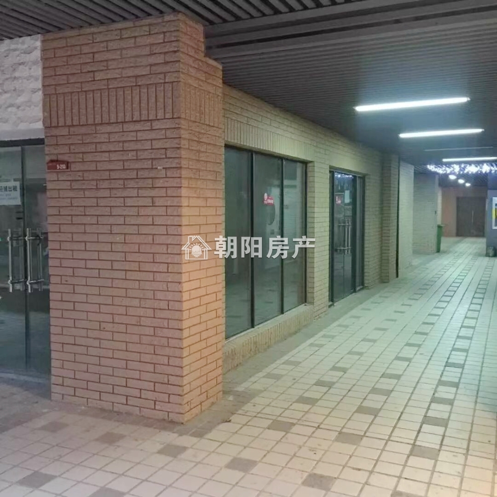 龙湖中心 41平 临街旺铺 简装 优质地段