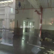 龙湖中心 41平 临街旺铺 简装 优质地段