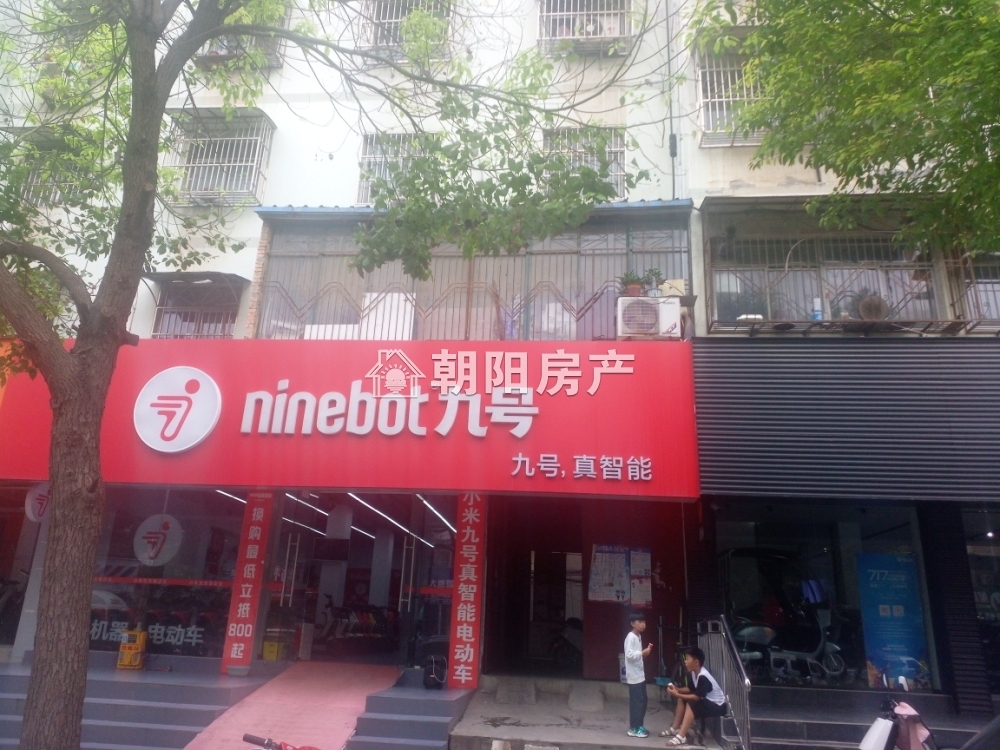 金凤小区 117平 南向采光好三居 交通便利 学区房