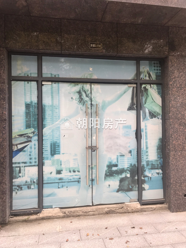 东城国际 55平 优质地段商铺 41元/平 毛坯出租