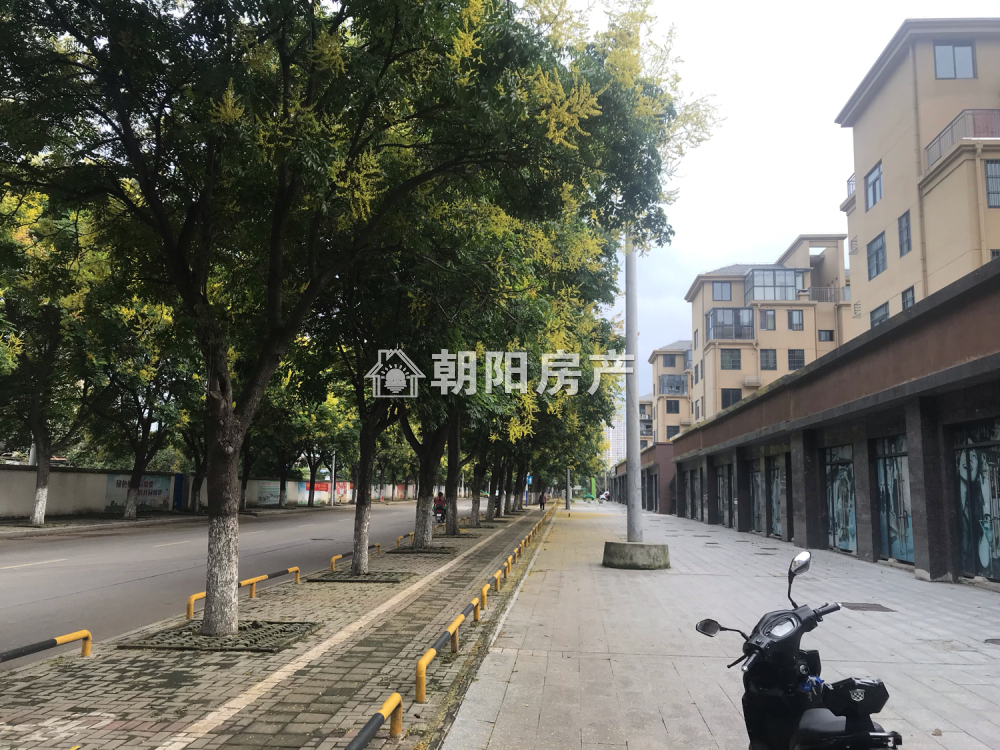 东城国际 35平 商业街商铺 毛坯 优质地段