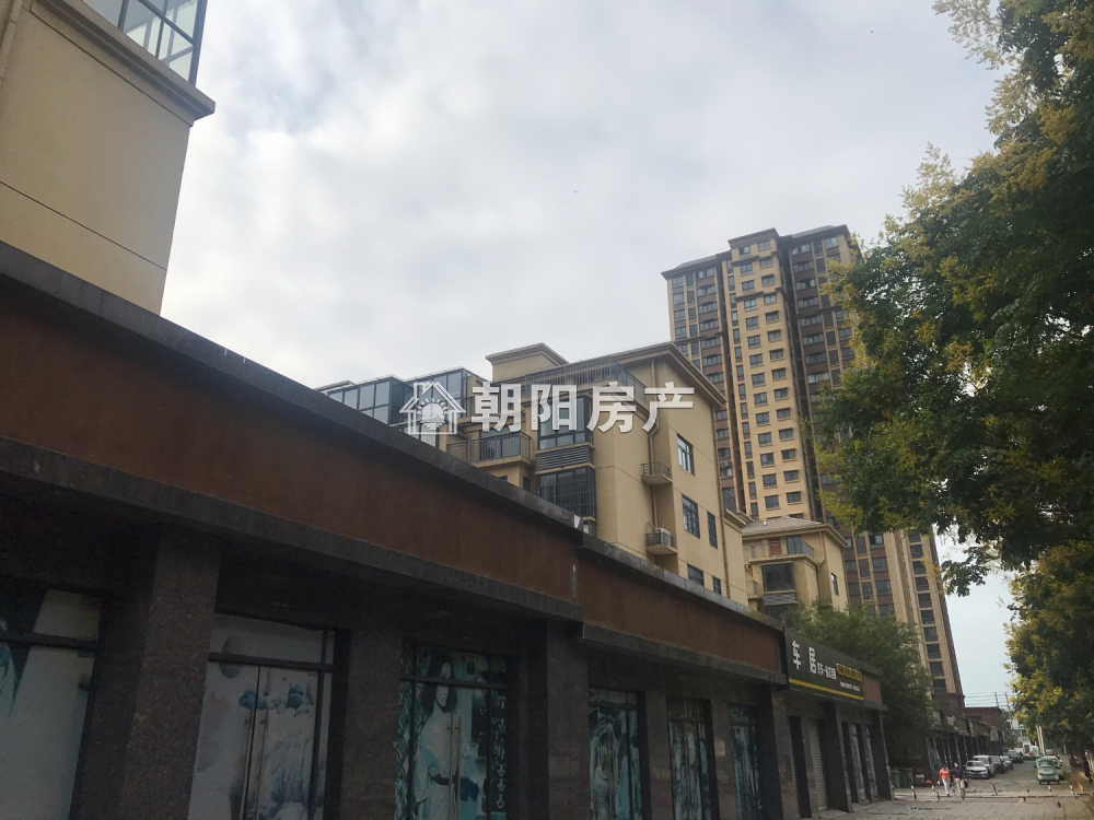 东城国际 55平 优质地段商铺 41元/平 毛坯出租
