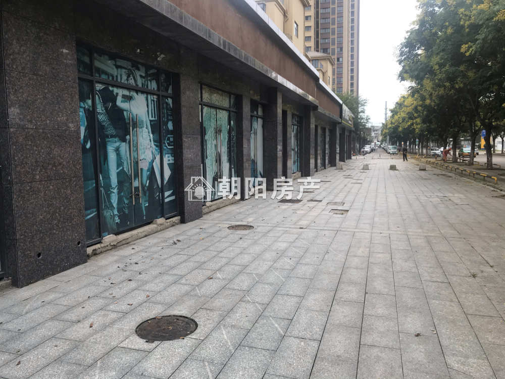 东城国际 45平 低楼层商铺 优质地段 毛坯出租