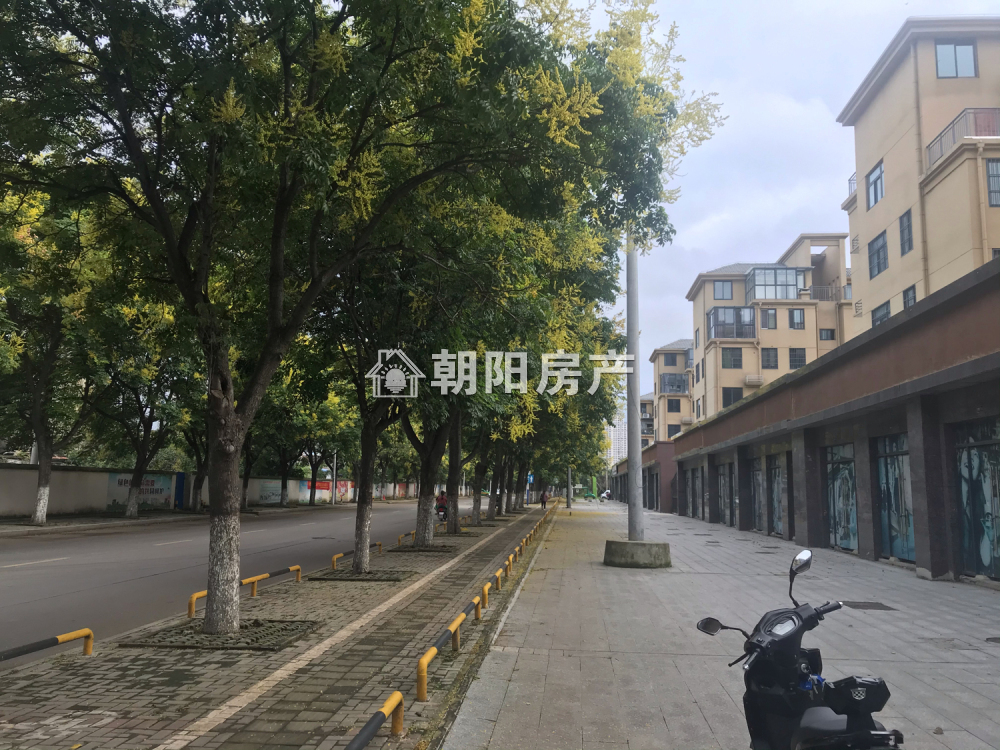 东城国际 55平 优质地段商铺 41元/平 毛坯出租