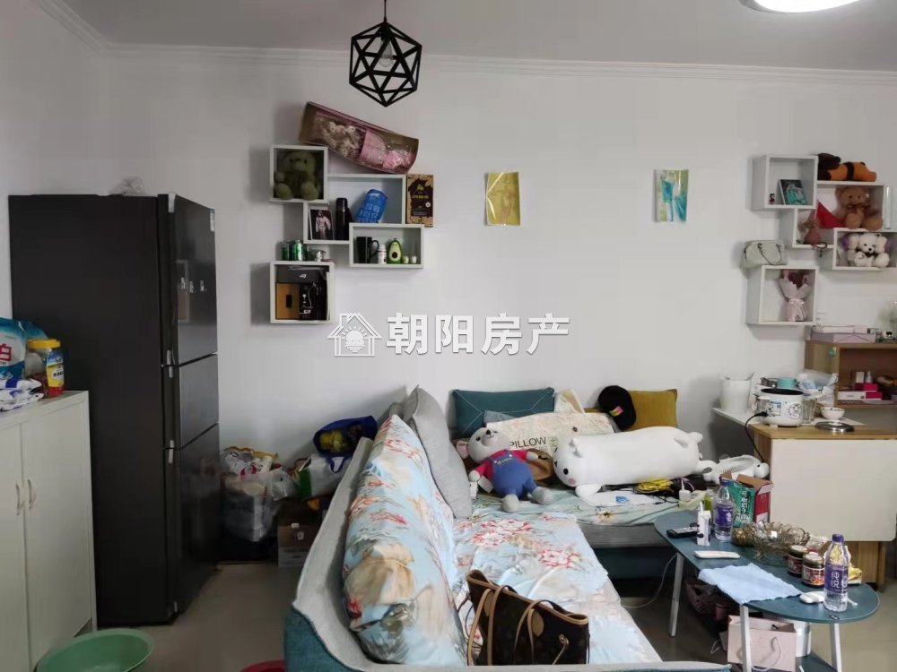 双子星座 53平 精装一室 采光好 交通便利 满两年
