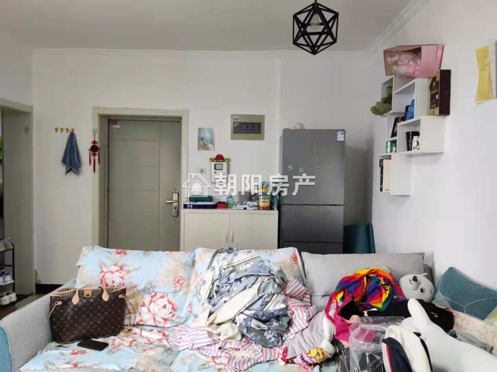 双子星座 53平 精装一室 采光好 交通便利 满两年