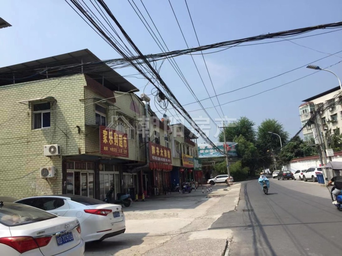 紫金山庄 113平 南向三室 967元/平 简装 交通便利