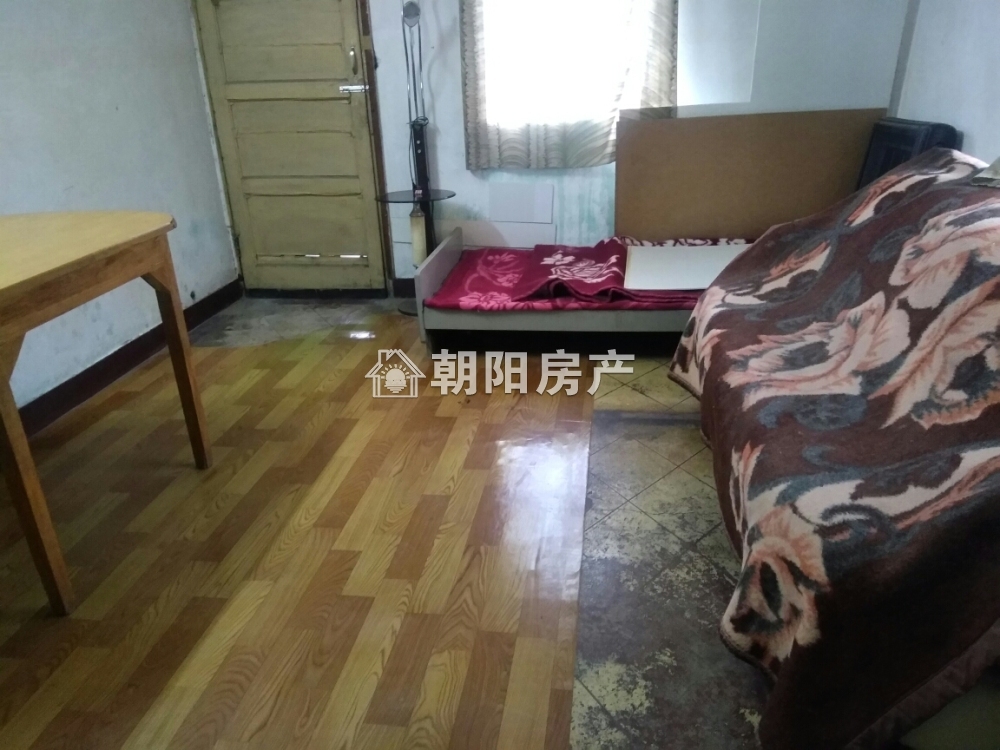 桂苑东区 50平 南向两室 满五唯一 学区房 4333元/平