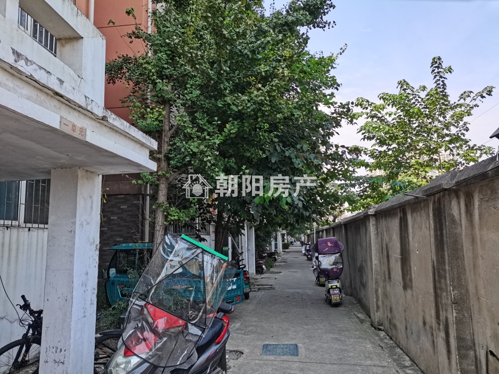 金丰易居二期 80平 南向三居 满两年 交通便利