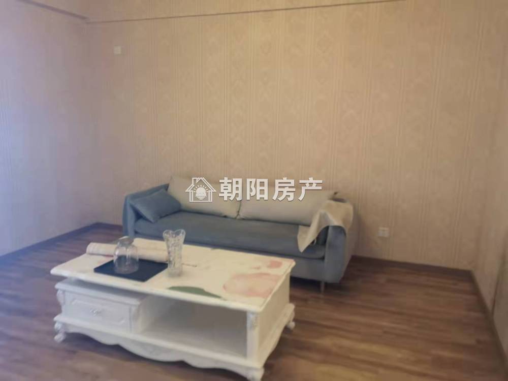 中央国际广场 61平 精装一室 满两年 3652元/平 学区配套