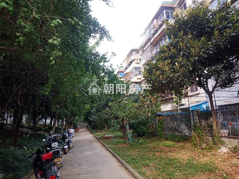 绿苑山庄 144平 南向大三居 满两年 交通便利 学区房