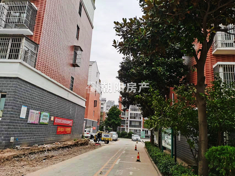 金豪阳光花园 115平 南向三居精装 满五唯一 学区房
