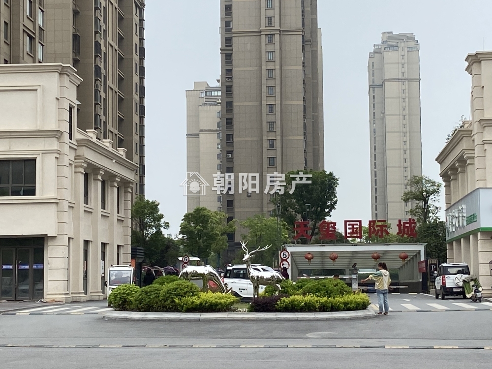 天玺国际城 131平 南向精装洋房 满两年 交通便利