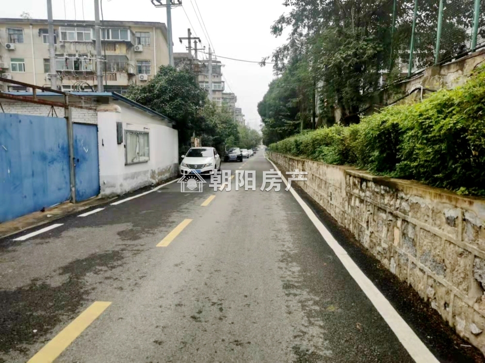 龙眼村 67平 南向两室一厅 满五唯一 学区房 采光好