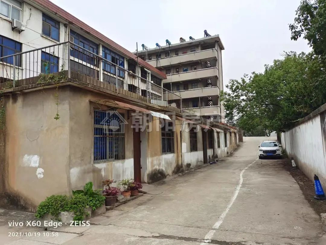 大桥家属楼 109平 南北通透三室二厅 满五唯一 学区房