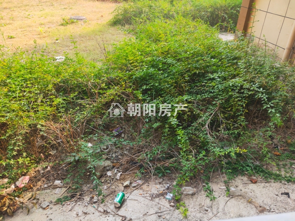 香樟苑五期 100平 南向三室二厅 随时看房 配套齐全