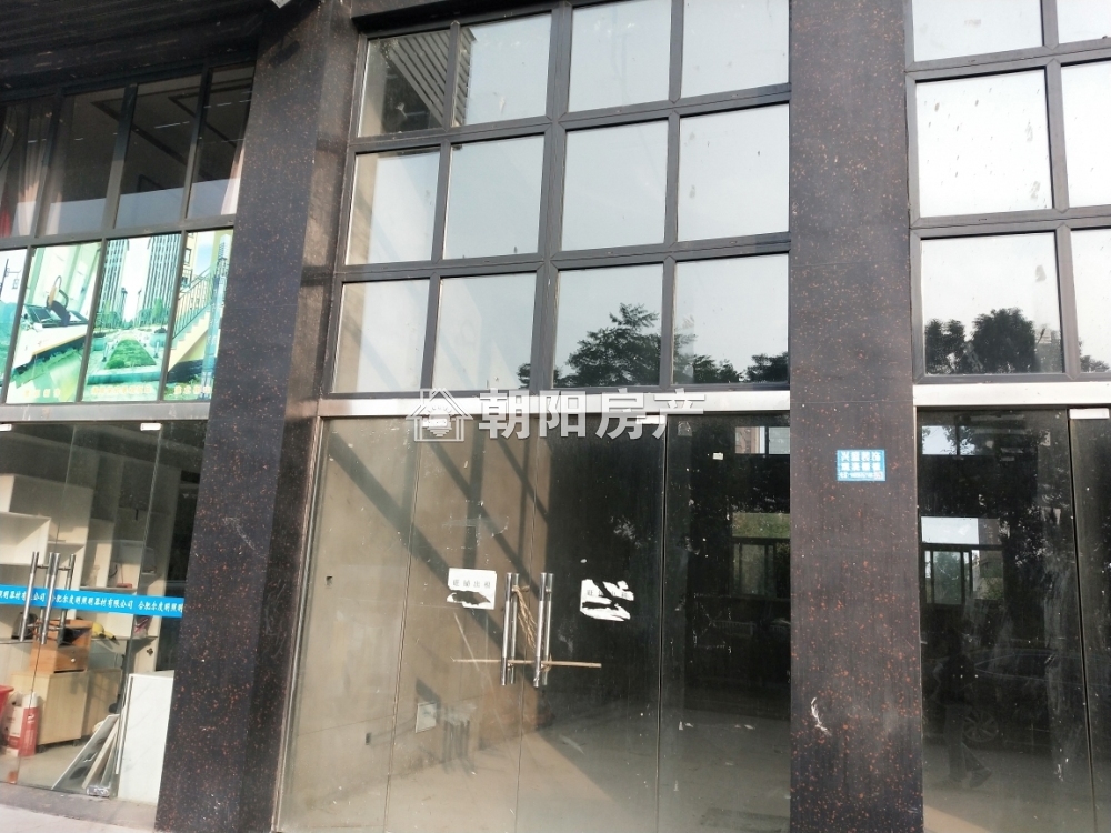 金大地悦府 48平 临街旺铺 优质地段 毛坯交付