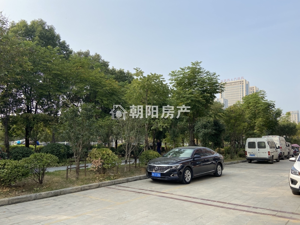 金大地悦府 48平 临街旺铺 优质地段 毛坯商铺