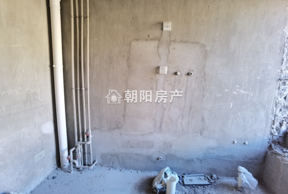 金地滟澜山 226平 南向五室三卫 毛坯别墅 满两年