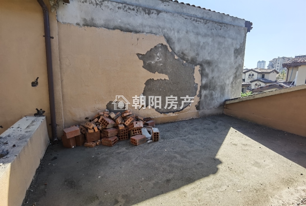 金地滟澜山 226平 南向五室三卫 毛坯别墅 满两年