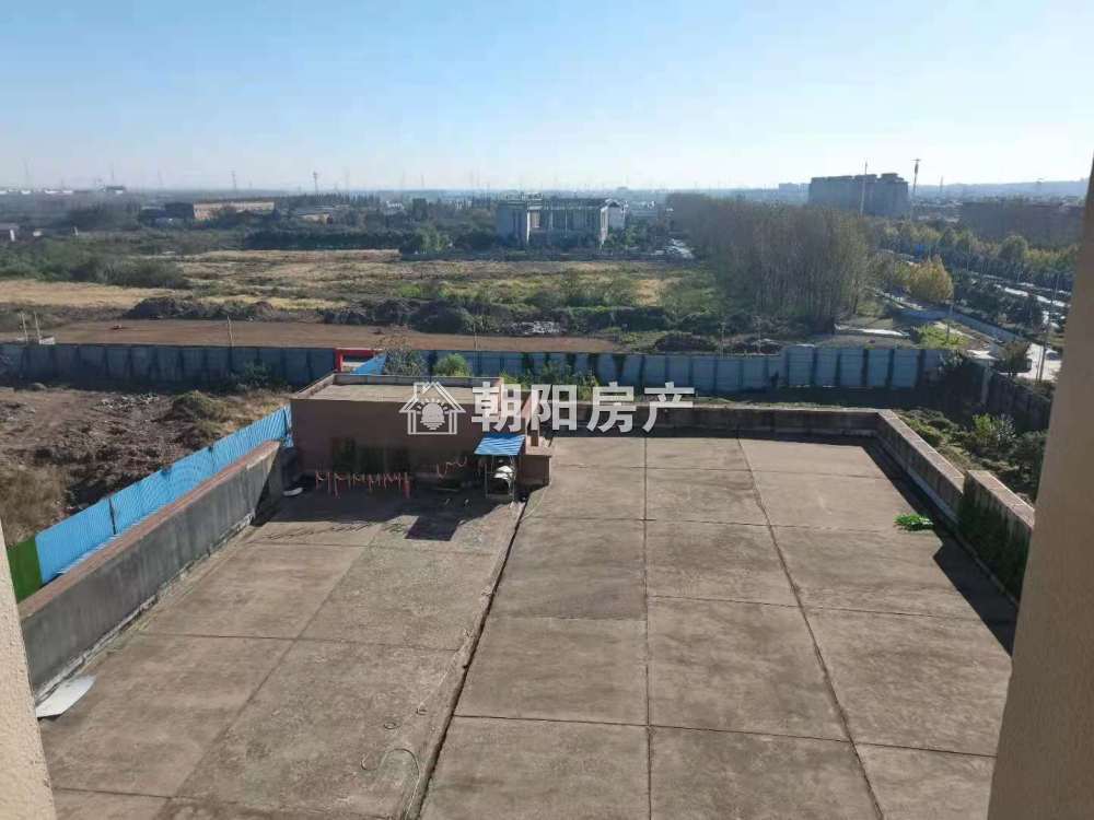 九龙国际广场 57平 南向三室两厅 学区房 随时看房