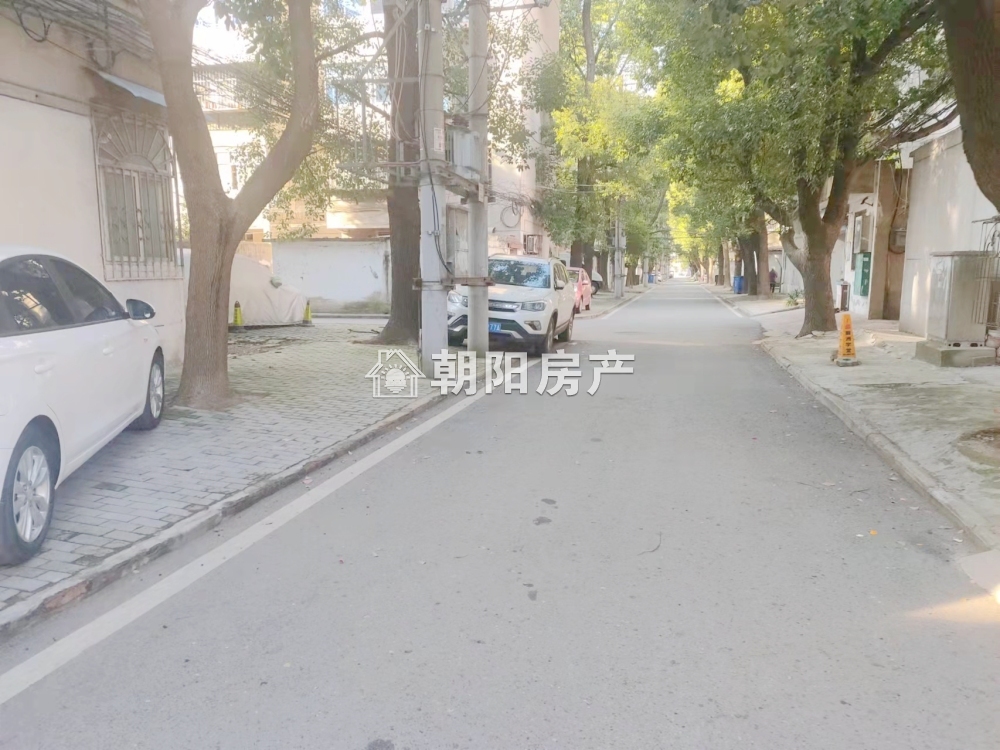 柏园南村一期 67平 南北通透三室一厅 简装 学区房 交通便利