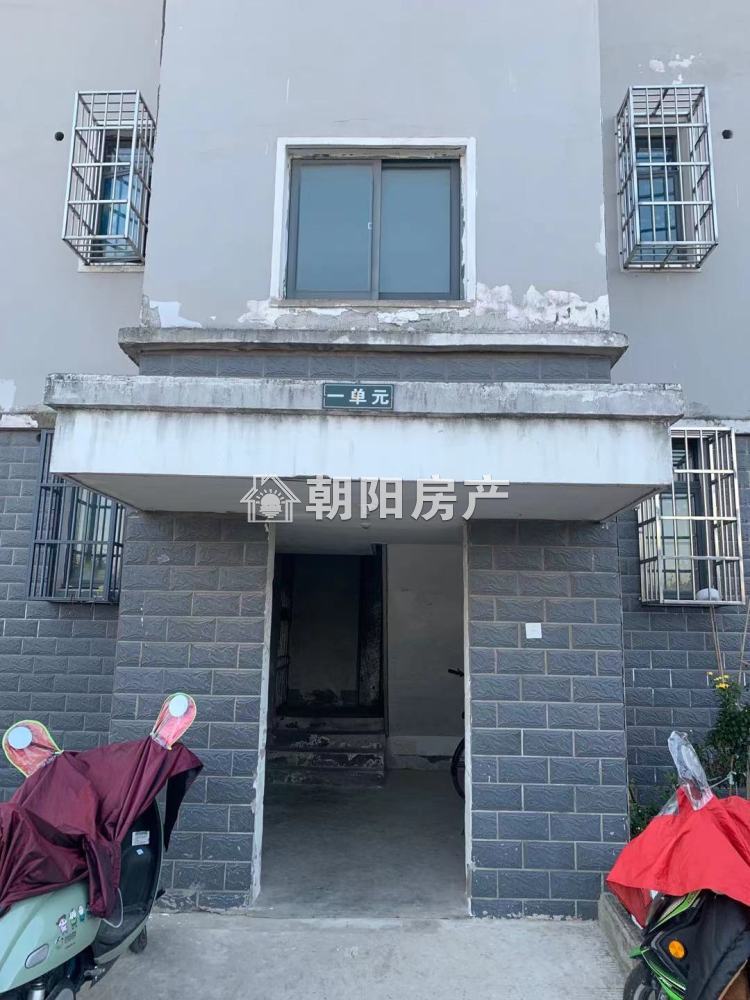 金鑫花园 50平 南向一室一厅 采光好随时看房