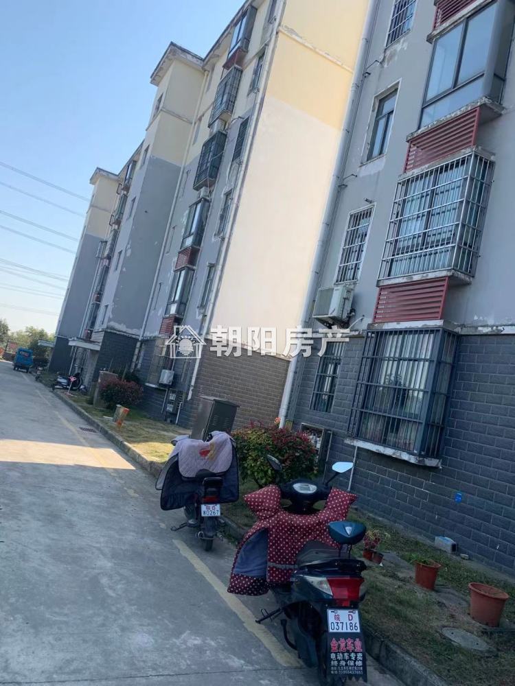 金鑫花园 50平 南向一室一厅 采光好随时看房