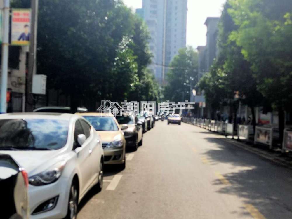 华声苑 102平 南向三室二厅 学区房 满两年 采光好