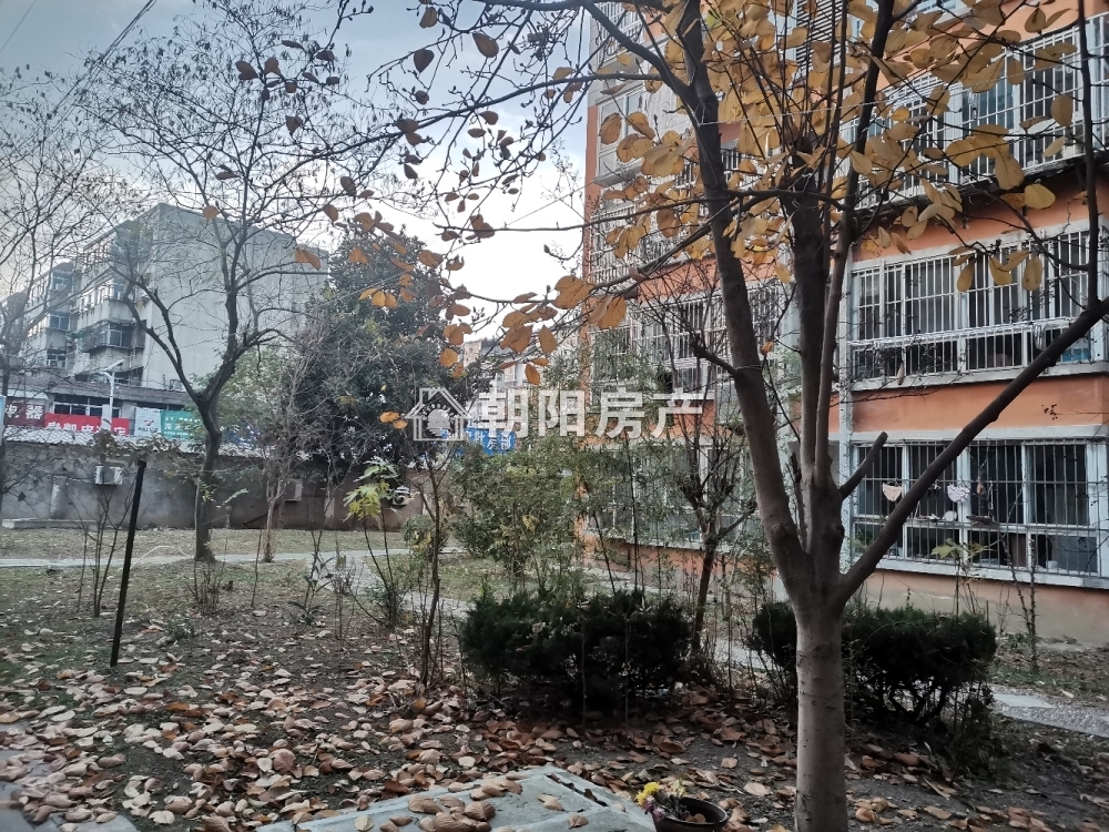 淮望小区三期 130平 南向两室两厅 交通便利 配套齐全