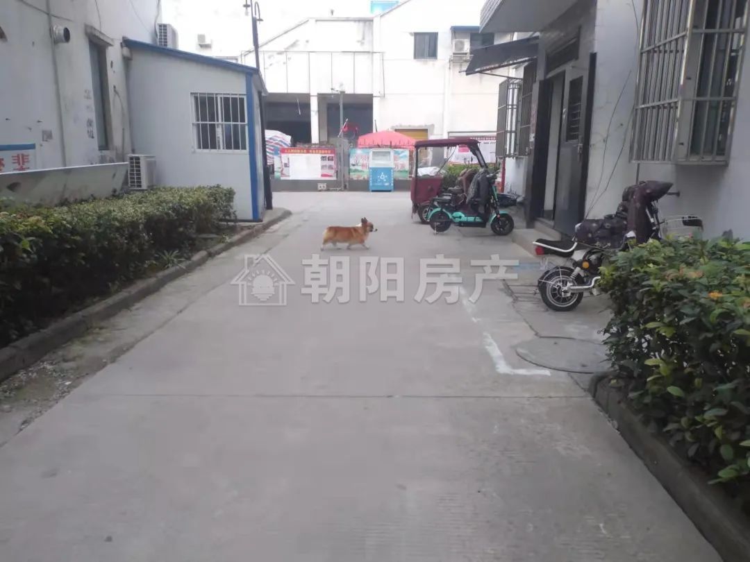 尚泰小区 92平 南向四室 学区房 交通便利 高楼层采光好