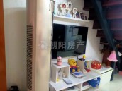 金地华府 69平 南向三居复式 满五唯一 精装学区房