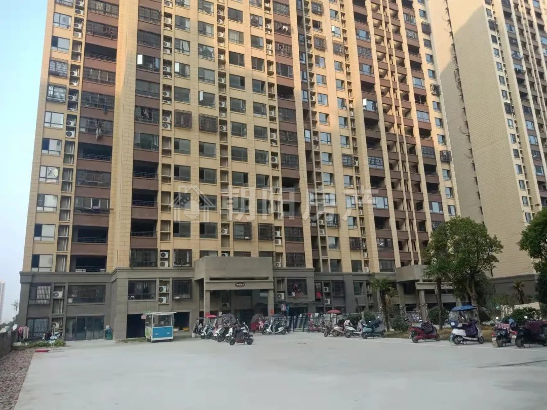 仕林金阶 55平 南向一室一厅 交通便利 采光好